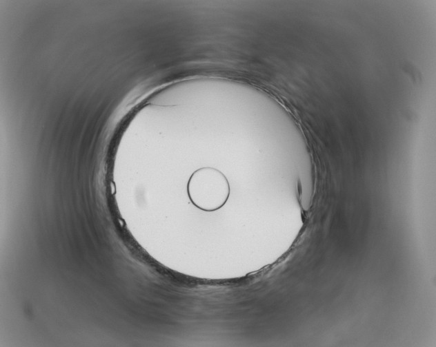 X0000112960150200910081053