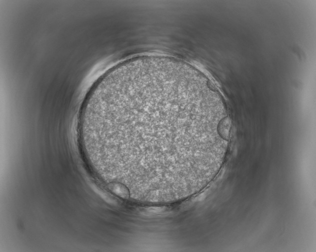 X0000112960151200910081053