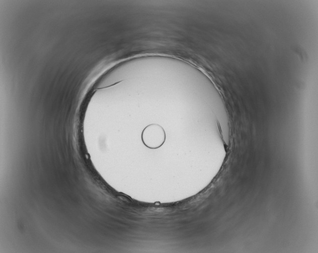 X0000112960152200910081053