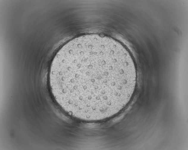 X0000112960153200910081053