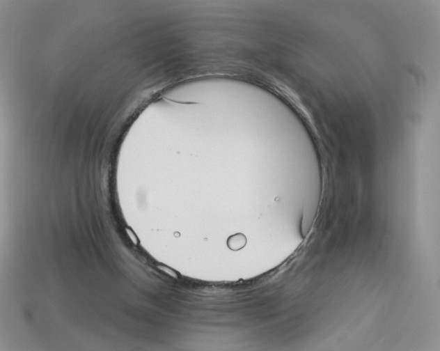 X0000112960154200910081053