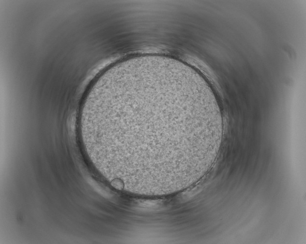 X0000112960155200910081053