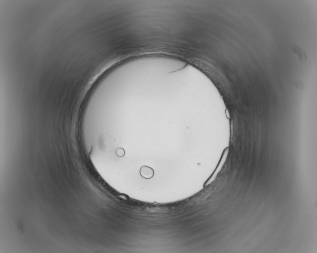 X0000112960156200910081053