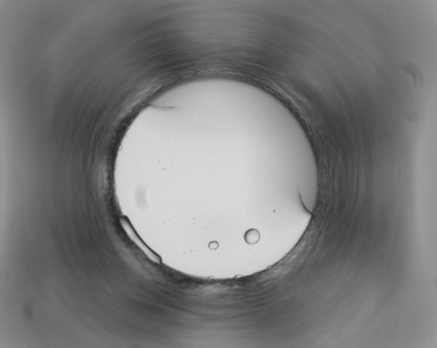 X0000112960158200910081053