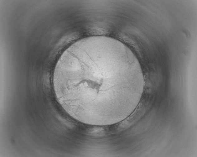 X0000112960162200910081053