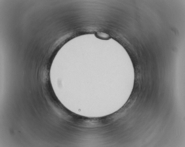 X0000112960164200910081053