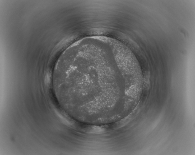 X0000112960166200910081053