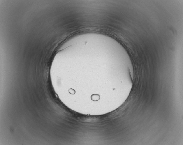 X0000112960168200910081053