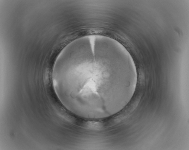 X0000112960169200910081053