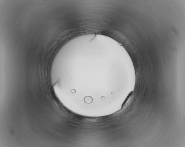 X0000112960170200910081053