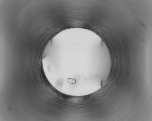 X0000112960172200910081053