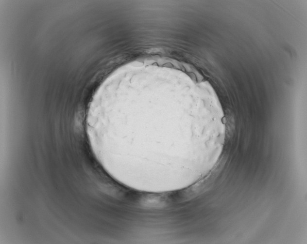 X0000112960175200910081053