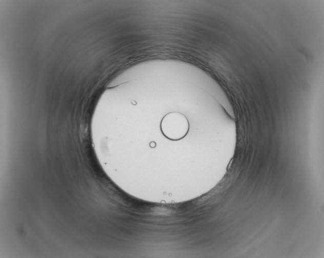 X0000112960176200910081053