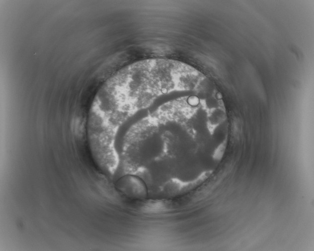 X0000112960177200910081053