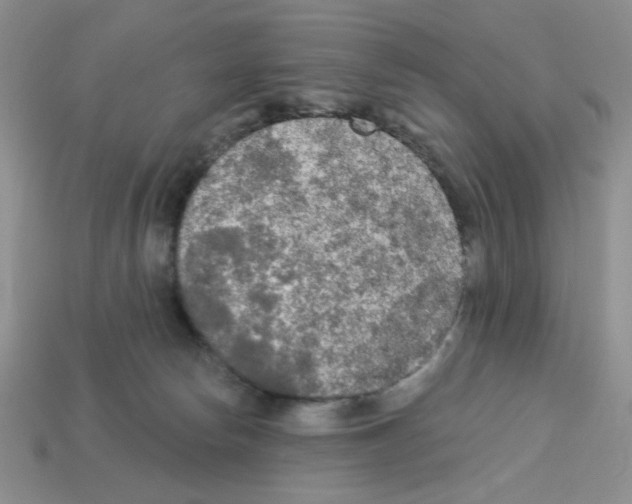 X0000112960178200910081053