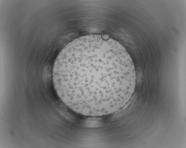 X0000112960179200910081053