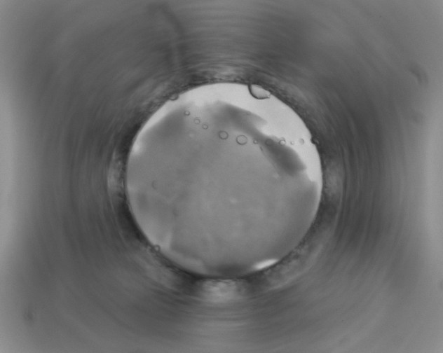 X0000112960181200910081053