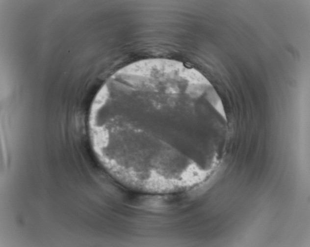 X0000112960182200910081053