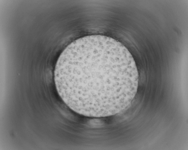 X0000112960183200910081053