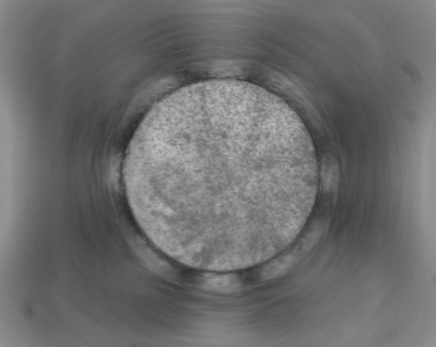 X0000112960185200910081053