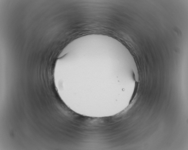 X0000112960186200910081053