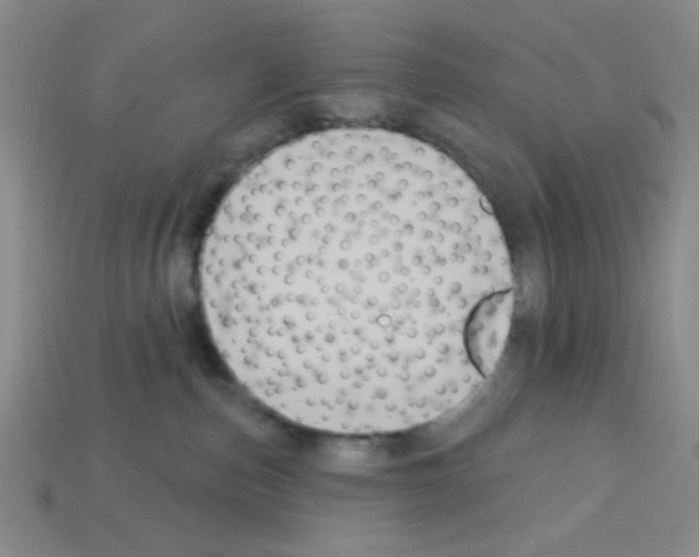 X0000112960187200910081053