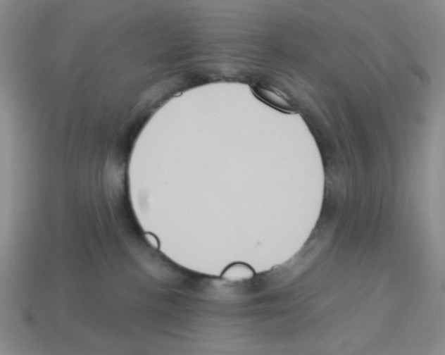 X0000112960188200910081053