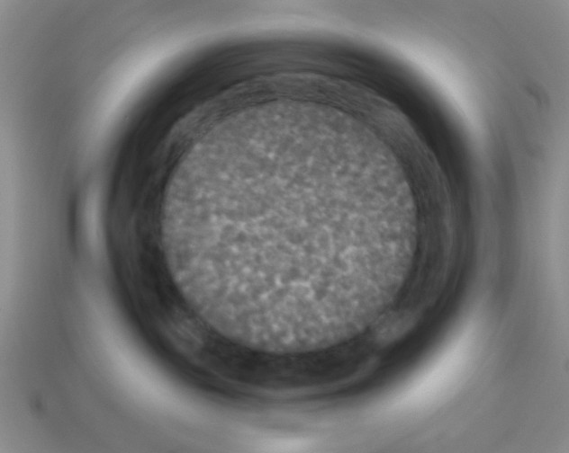 X0000112960189200910081053