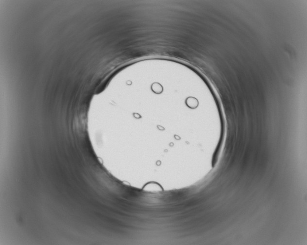 X0000112960190200910081053