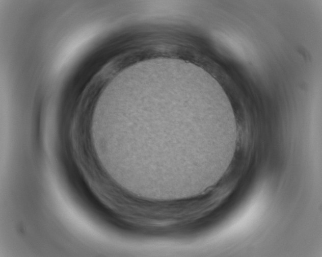 X0000112960191200910081053