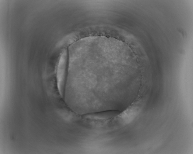 X0000112960192200910081053