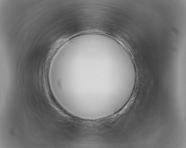 X0000112960193200910081053