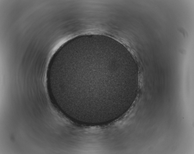 X0000112960196200910081053