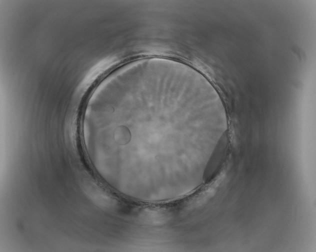 X0000112960199200910081053