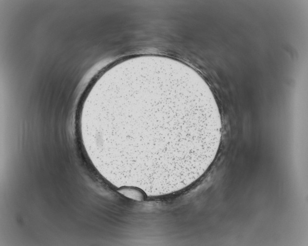 X0000112960200200910081053