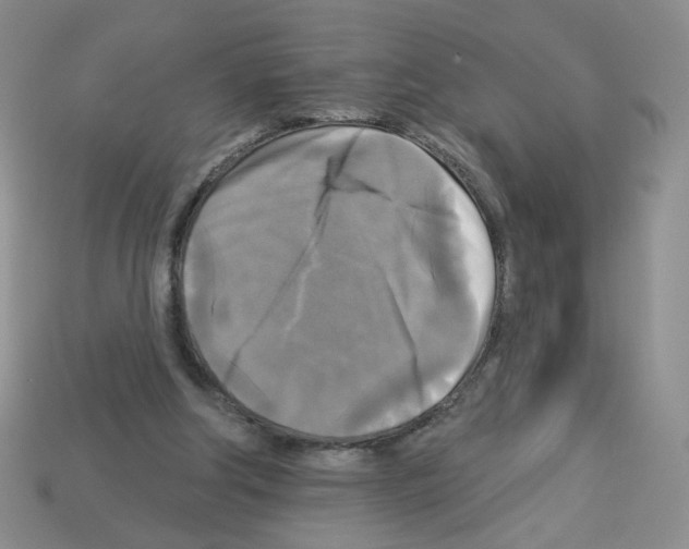 X0000112960202200910081053