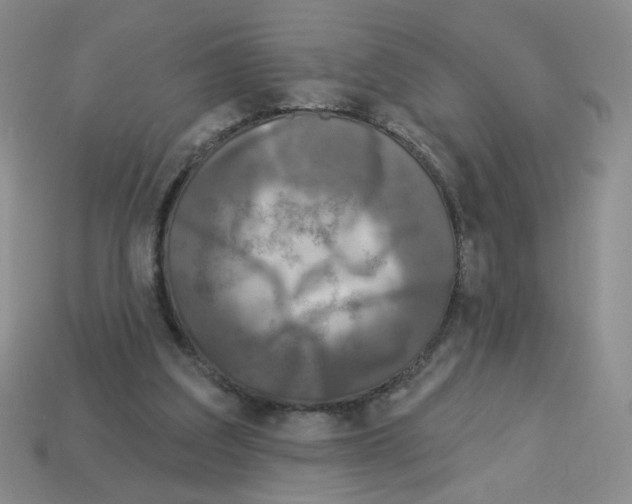 X0000112960203200910081053