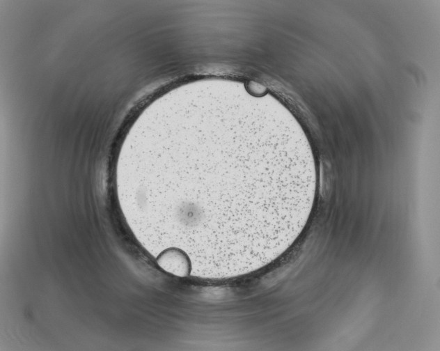 X0000112960204200910081053