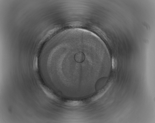 X0000112960205200910081053