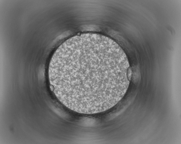 X0000112960207200910081053