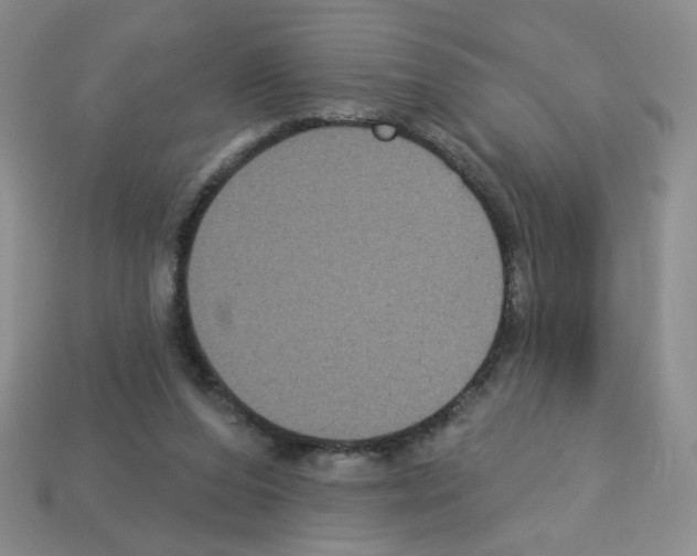 X0000112960208200910081053