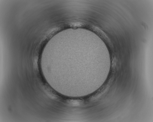 X0000112960209200910081053