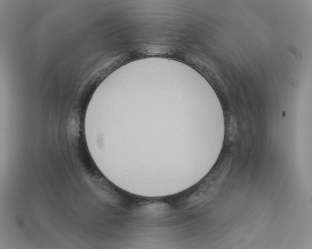 X0000112960210200910081052