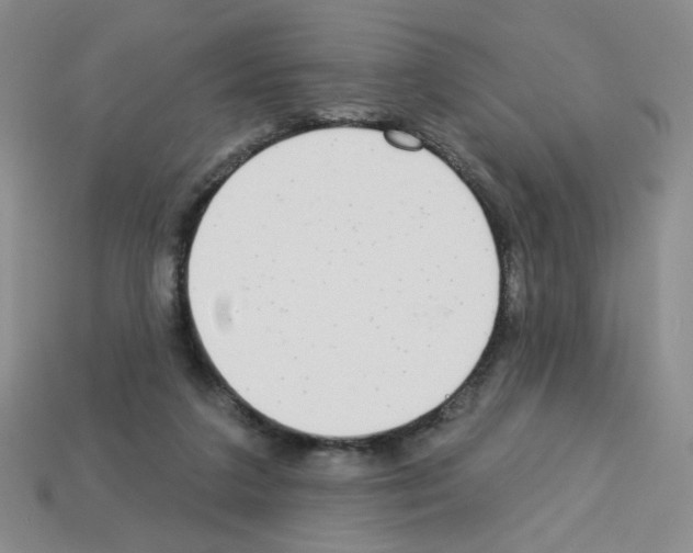 X0000112960211200910081052