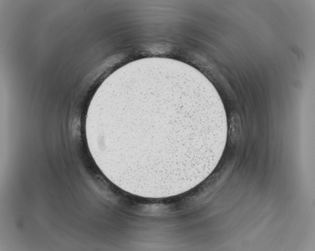 X0000112960212200910081052