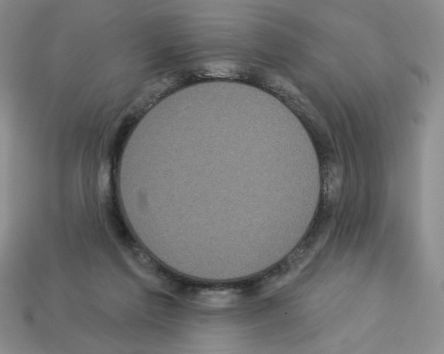 X0000112960213200910081052