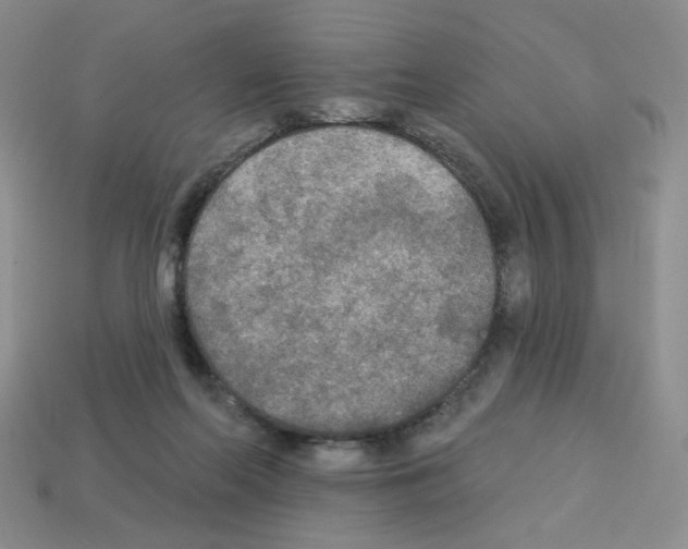 X0000112960214200910081052