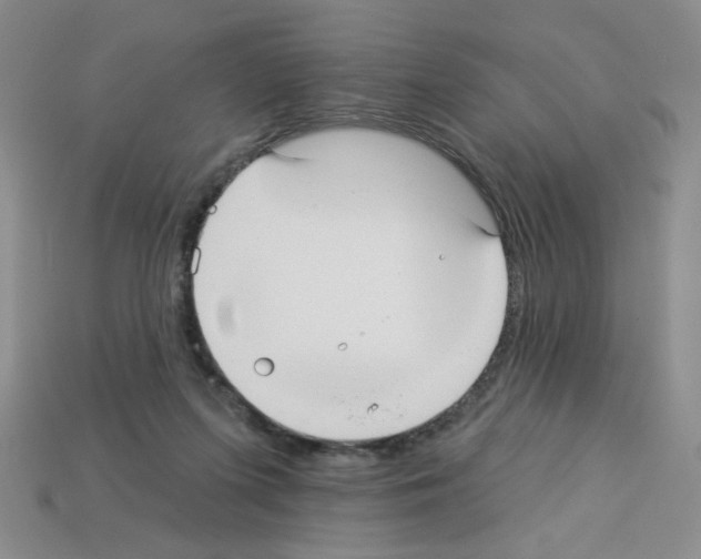 X0000112960215200910081052