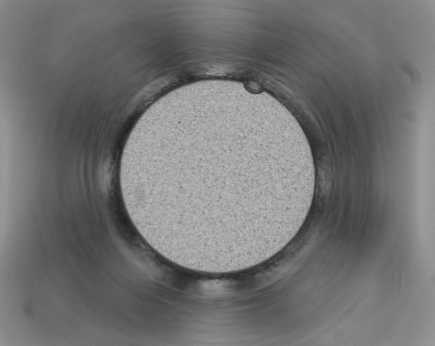 X0000112960216200910081052