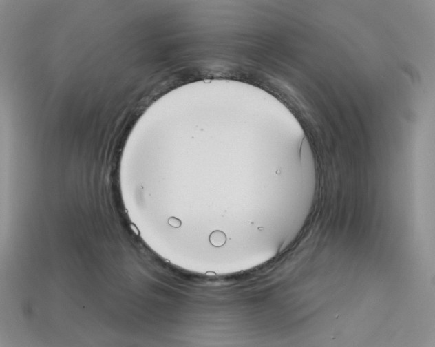 X0000112960217200910081052